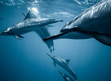 开云体育在线-kaiyun：云端生活的新纪元